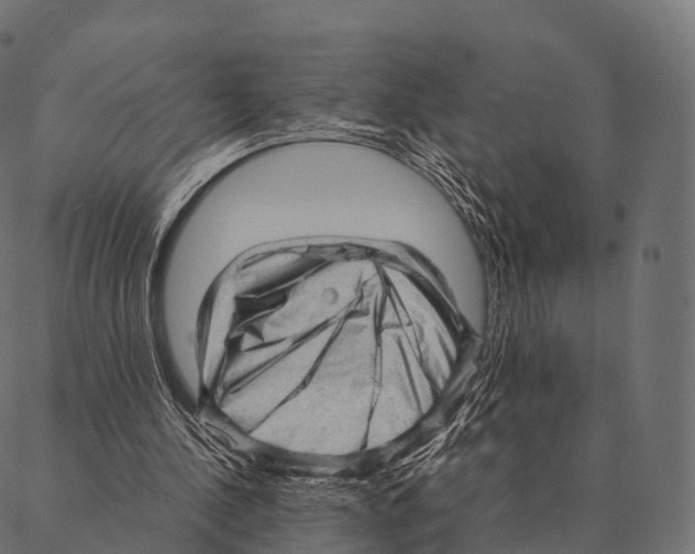 X0000087310244200705180953