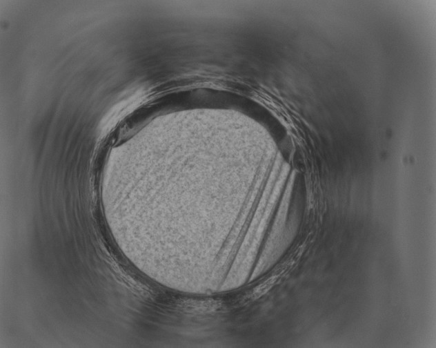 X0000087310245200705180953