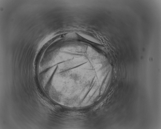 X0000087310246200705180953