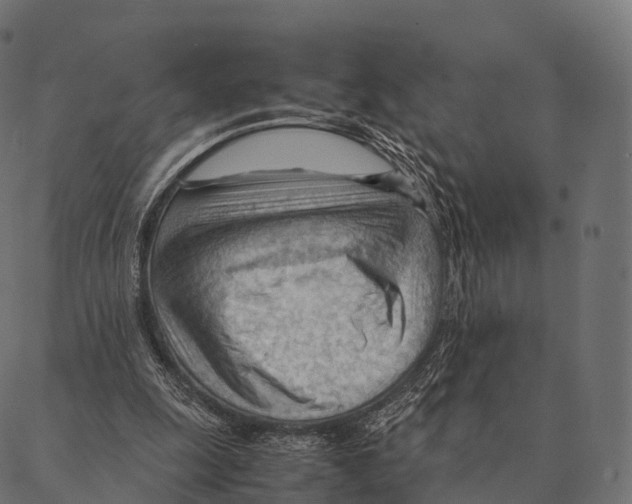 X0000087310247200705180953