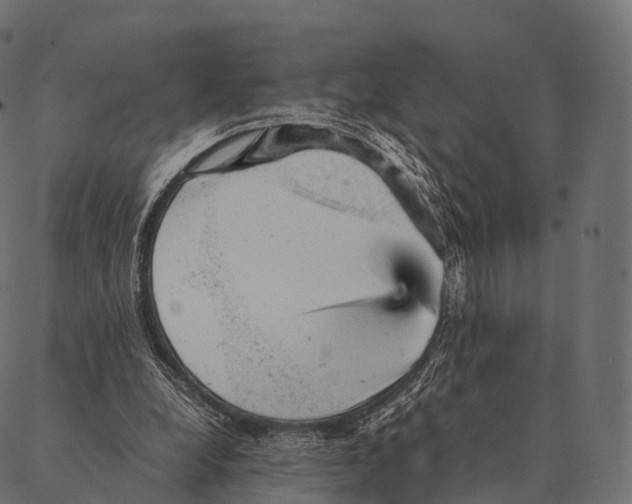 X0000087310248200705180953