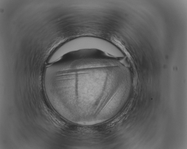 X0000087310249200705180953