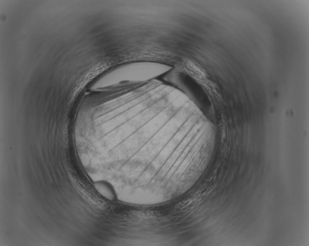 X0000087310250200705180953