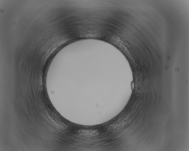 X0000087310251200705180953