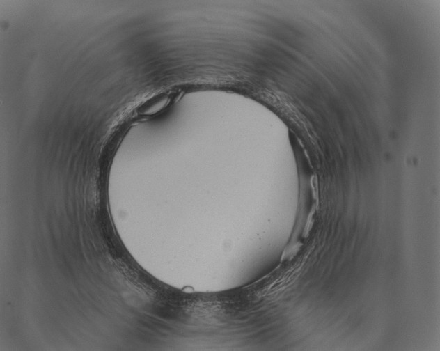 X0000087310252200705180953