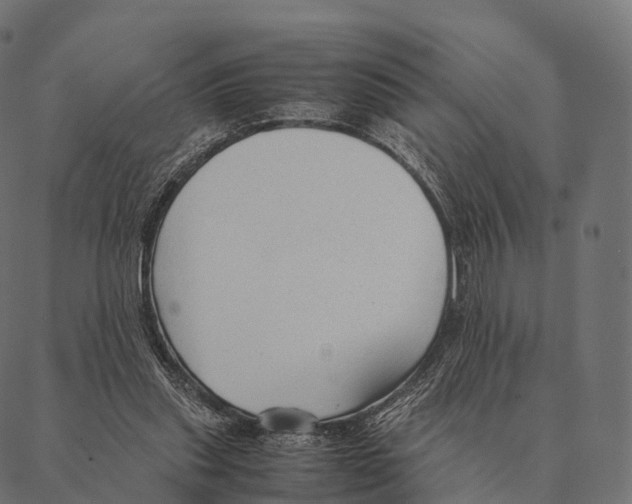 X0000087310253200705180953