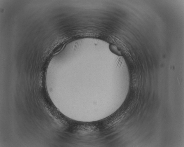 X0000087310255200705180953