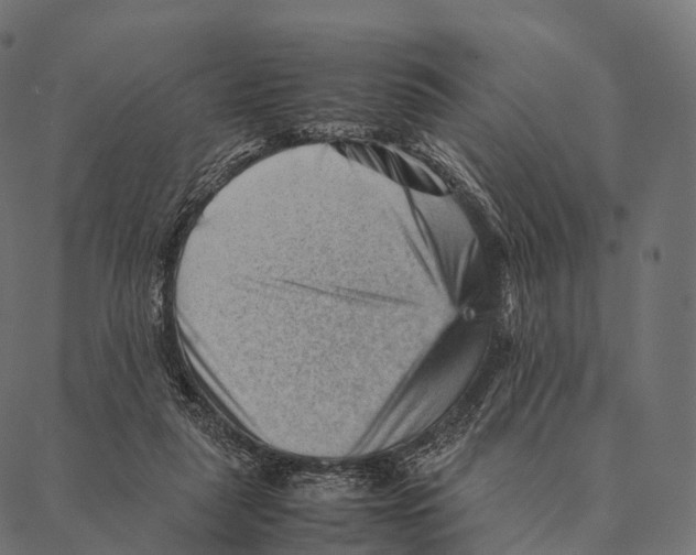 X0000087310259200705180953