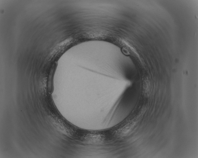 X0000087310260200705180953