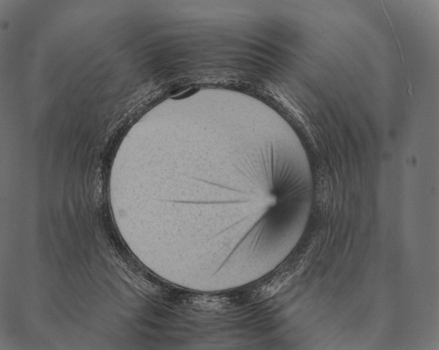 X0000087310261200705180953