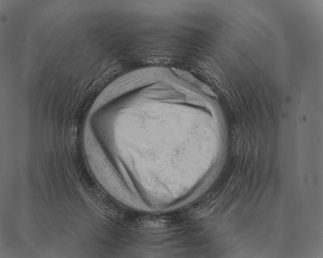 X0000087310263200705180953