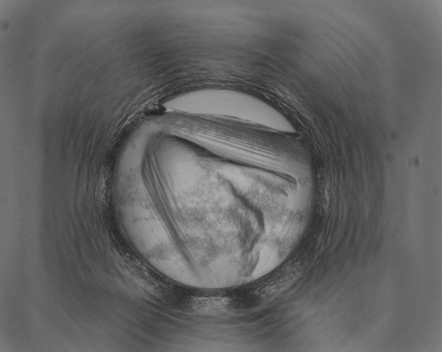 X0000087310266200705180953