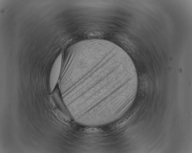 X0000087310269200705180953