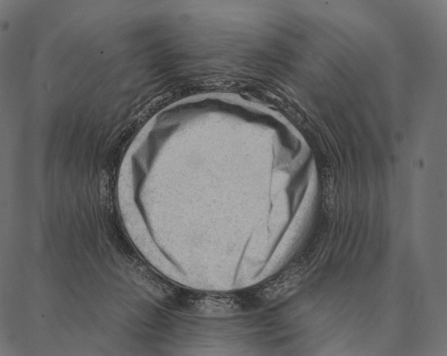 X0000087310270200705180953