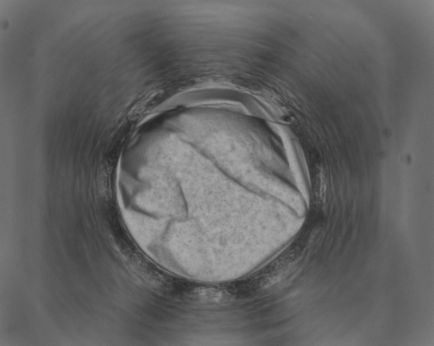 X0000087310272200705180953