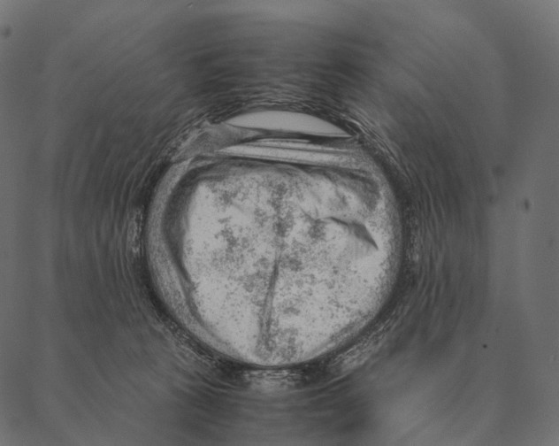 X0000087310273200705180953