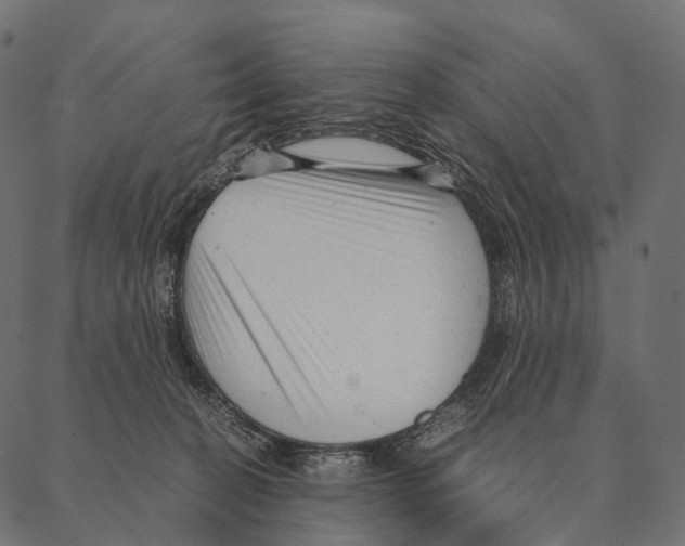 X0000087310274200705180953