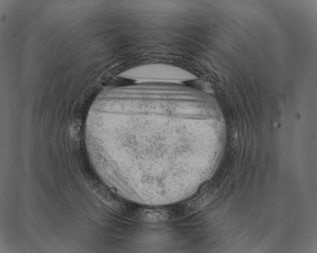 X0000087310275200705180953