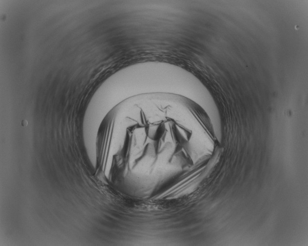 X0000087310276200705180953