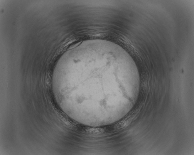 X0000087310277200705180953