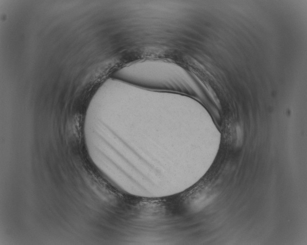 X0000087310280200705180953