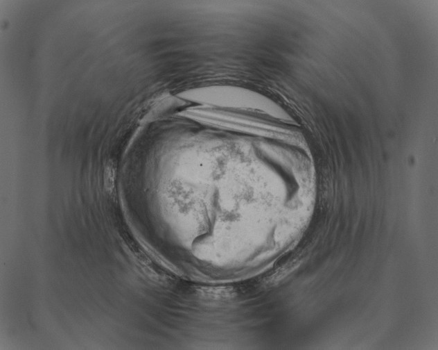 X0000087310281200705180953