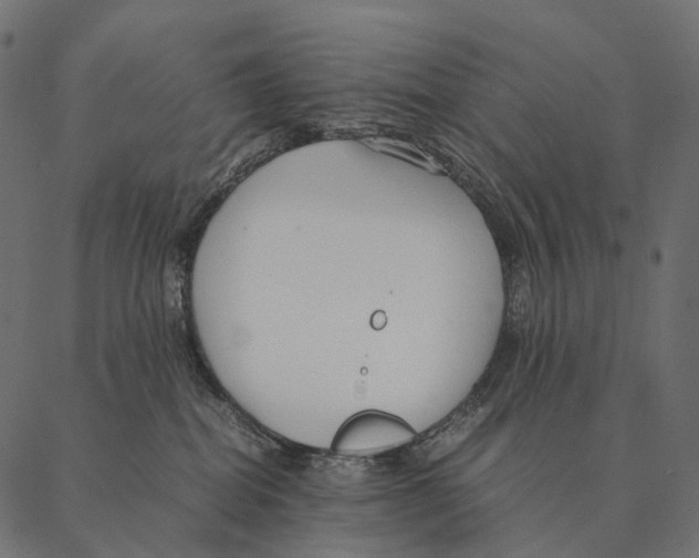 X0000087310282200705180953