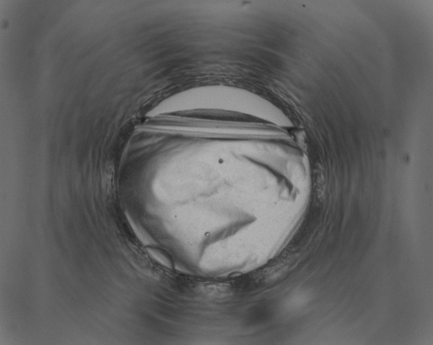 X0000087310283200705180953