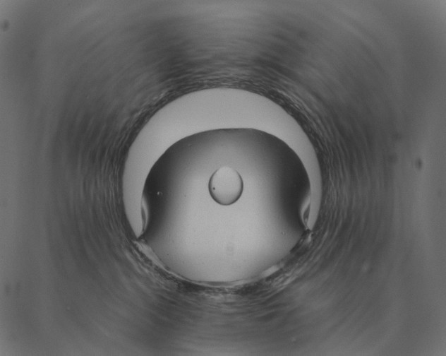 X0000087310284200705180953