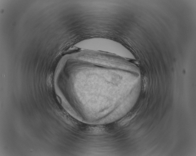 X0000087310286200705180954