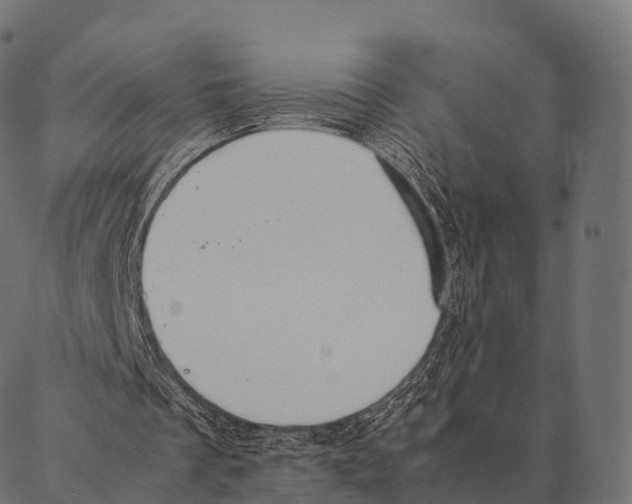 X0000087310289200705180953