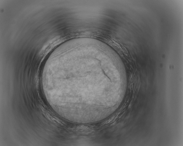 X0000087310290200705180953