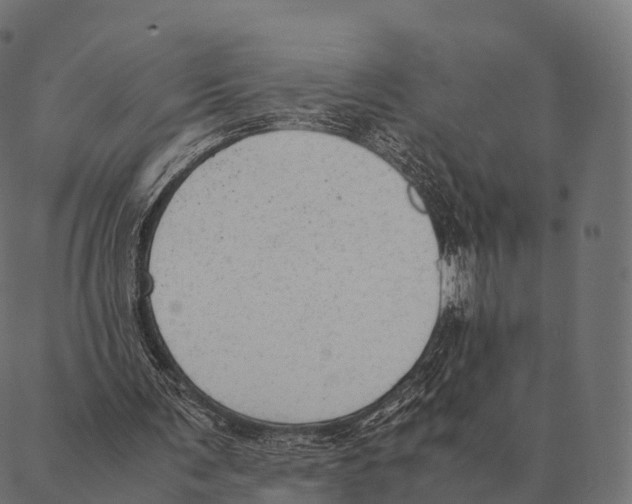 X0000087310291200705180953