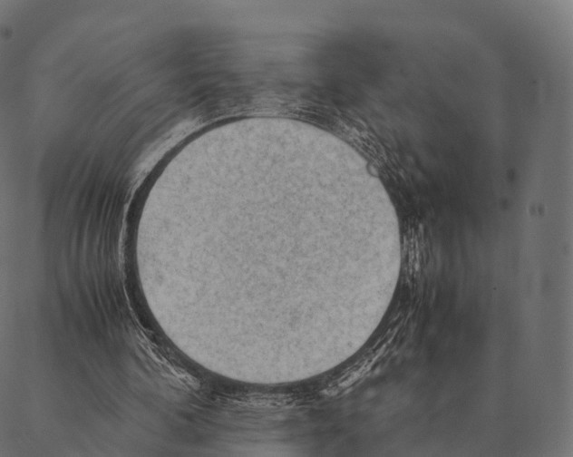 X0000087310292200705180953