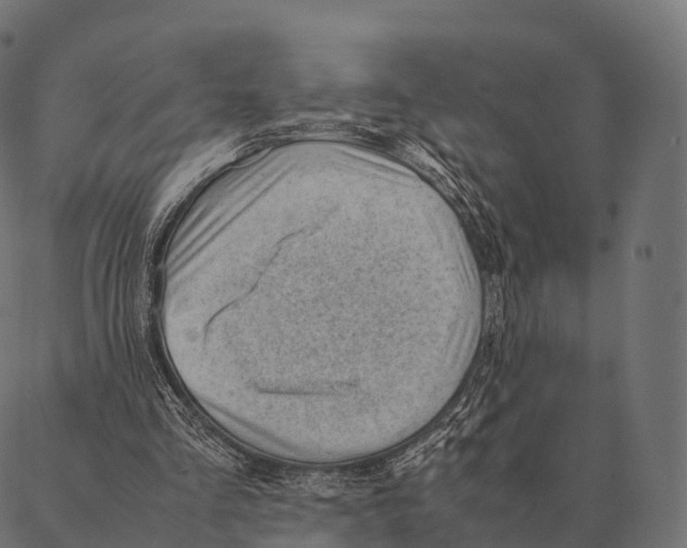 X0000087310293200705180953