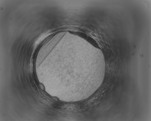 X0000087310294200705180953