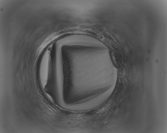 X0000087310295200705180953