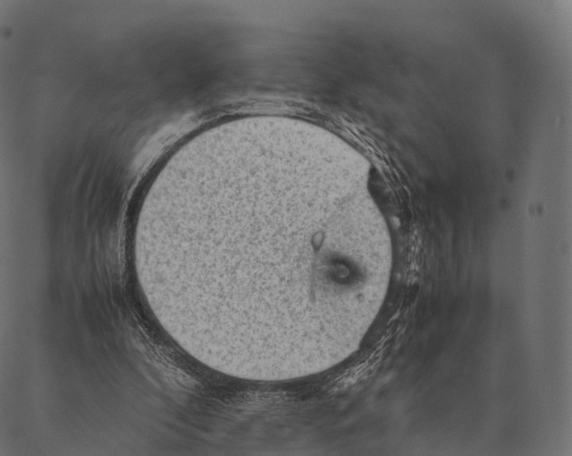 X0000087310296200705180953