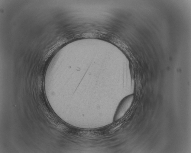 X0000087310297200705180953