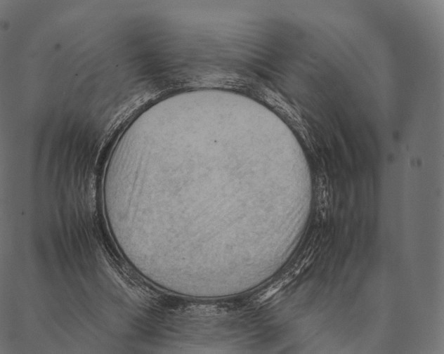 X0000087310298200705180953