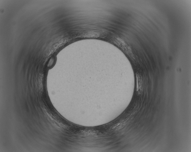 X0000087310300200705180953