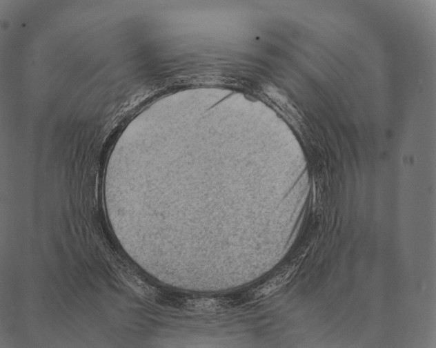 X0000087310301200705180953