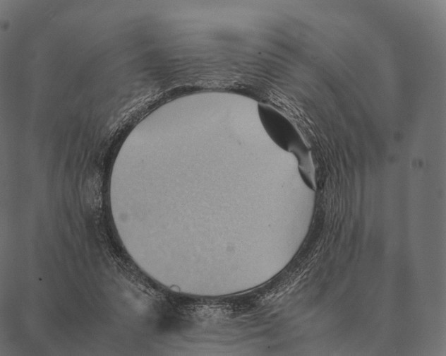 X0000087310303200705180953