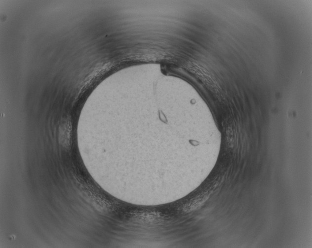 X0000087310304200705180953