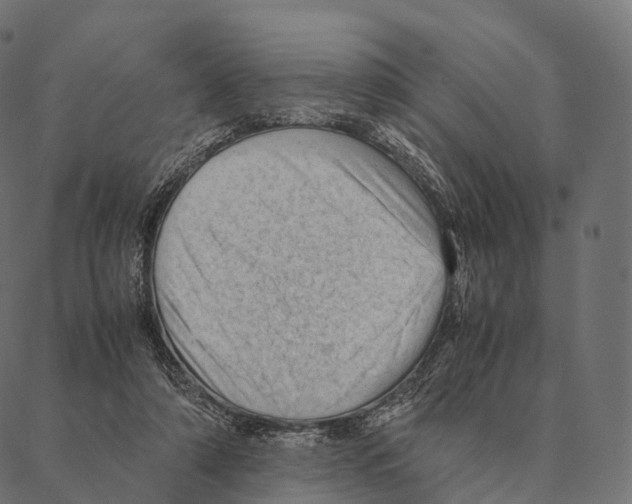 X0000087310306200705180953