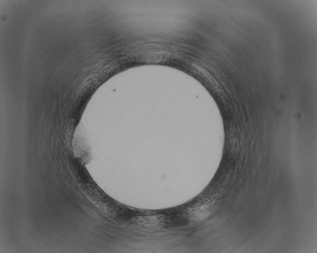 X0000087310307200705180952