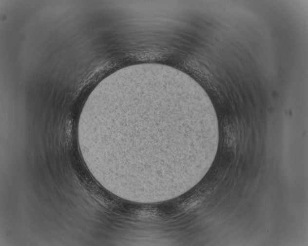 X0000087310308200705180952