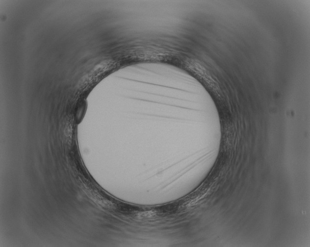 X0000087310309200705180952