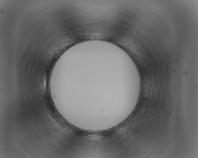 X0000087310310200705180952