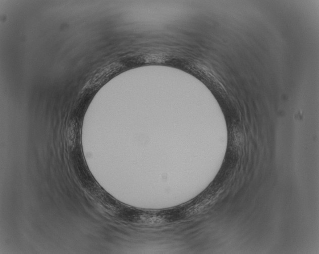 X0000087310311200705180952